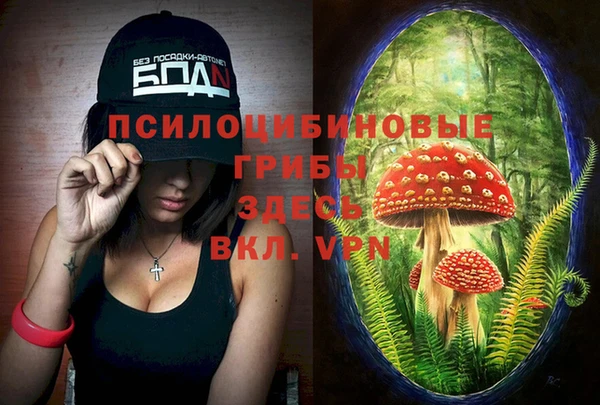 дмт Надым