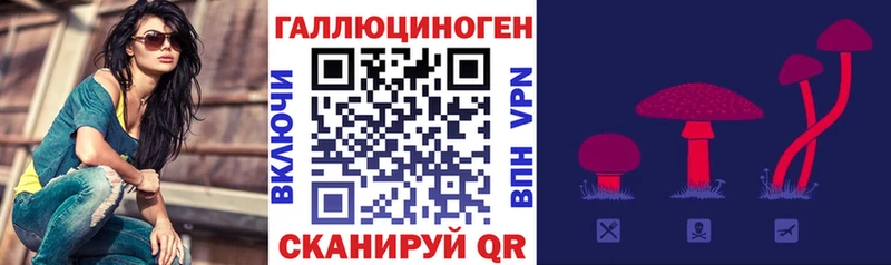 как найти закладки  Куровское  Галлюциногенные грибы Magic Shrooms 